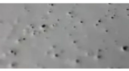 Pinholes Defect