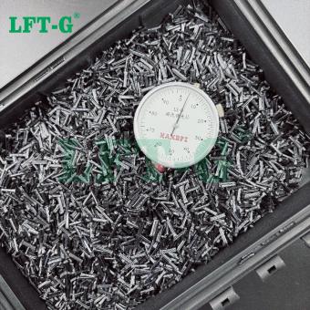 Nylon 6 -LCF