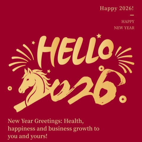 Horse Spirit for the New Year: LFT Delivers Festive Gifts